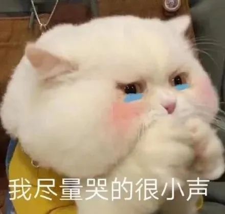 肚皮脂肪太厚“看不清”宝宝？别急，有招~(图5)
