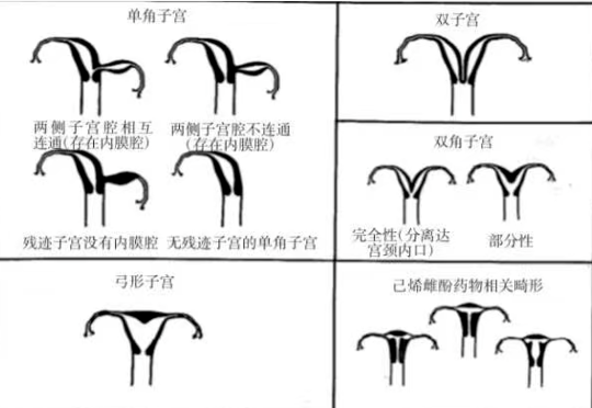 QQ20251126-092240.jpg QQ20251126-092240.jpg
