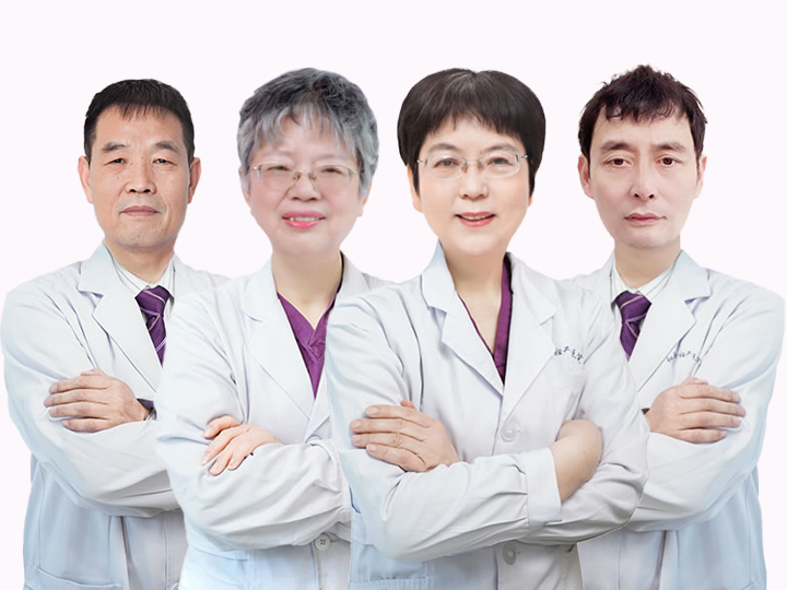专家团队